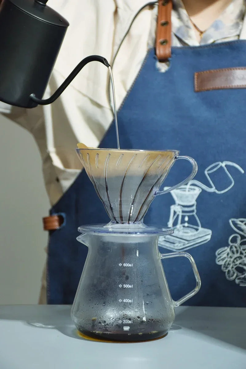 4-Piece Glass Pour Over Coffee Set | V02 Funnel + 600ml Server & Dripper Kit